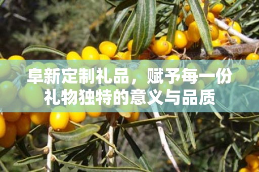 阜新定制礼品，赋予每一份礼物独特的意义与品质